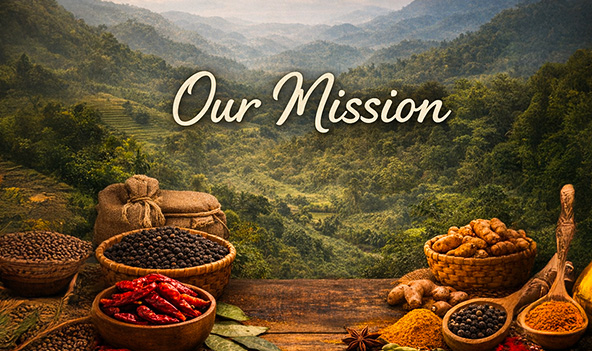 Our Mission