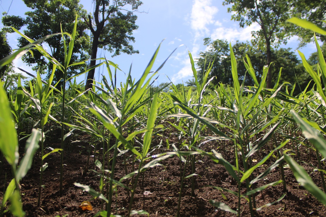 WhatsApp Image 2026-01-14 at 21.04.45 (1)