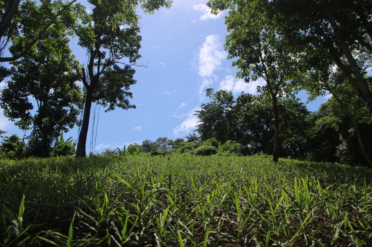 WhatsApp Image 2026-01-14 at 21.04.46