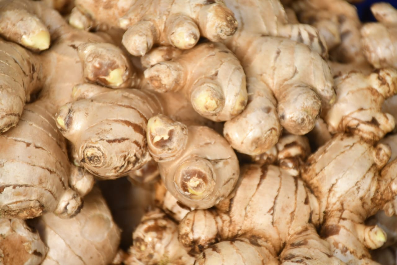 WhatsApp Image 2026-01-17 at 2.17.00 PM (1)