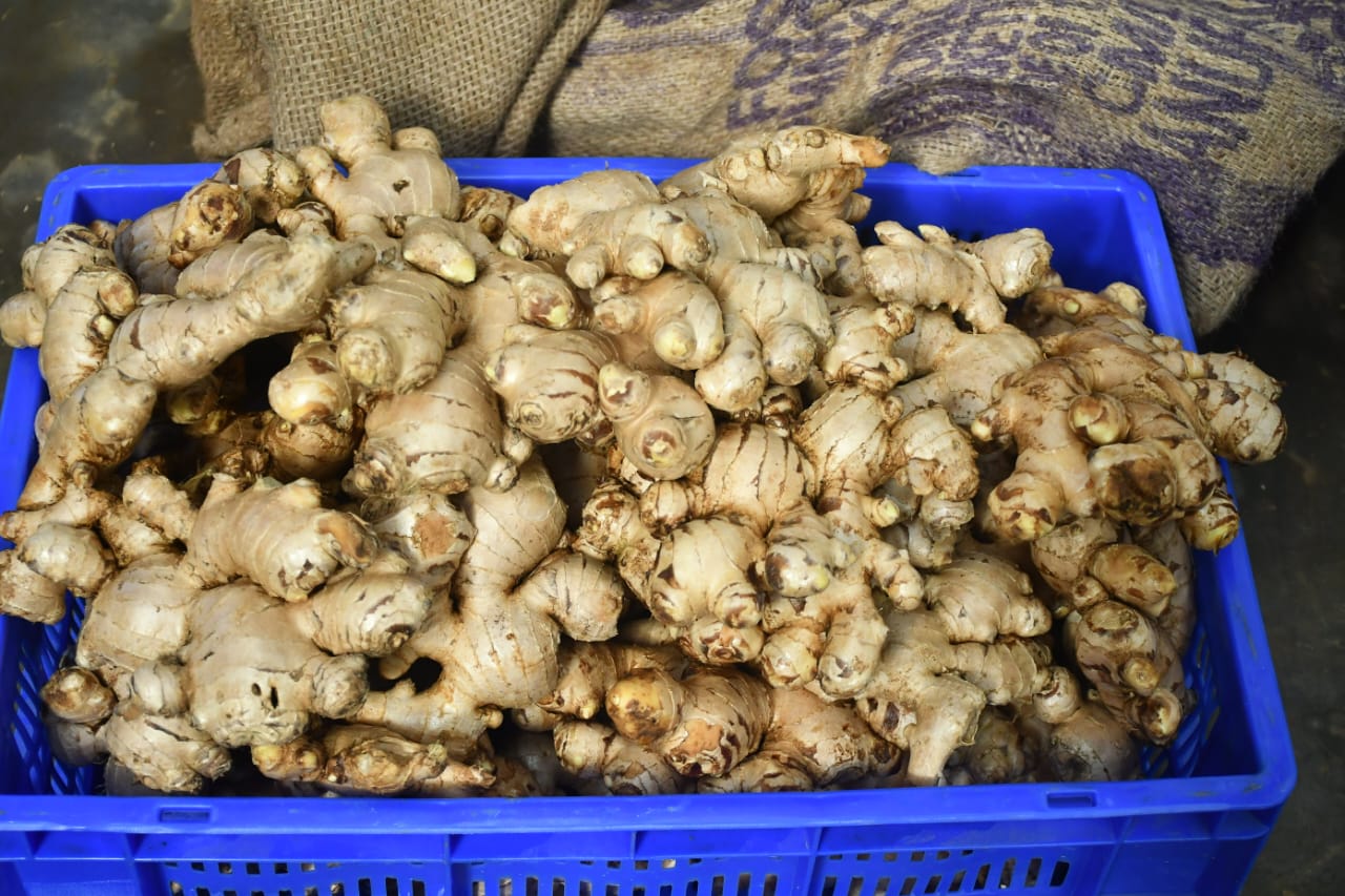 WhatsApp Image 2026-01-17 at 2.17.00 PM