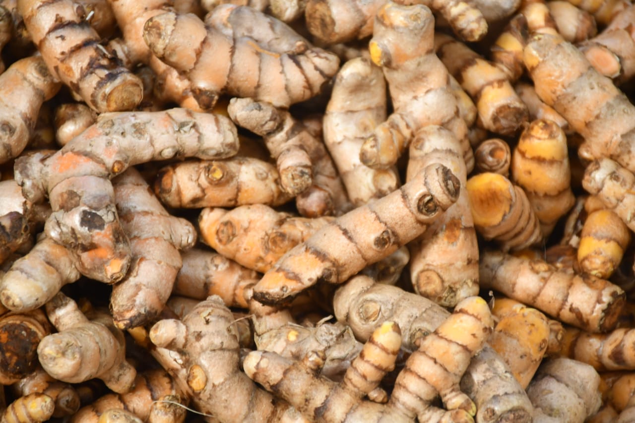 WhatsApp Image 2026-01-17 at 2.17.01 PM