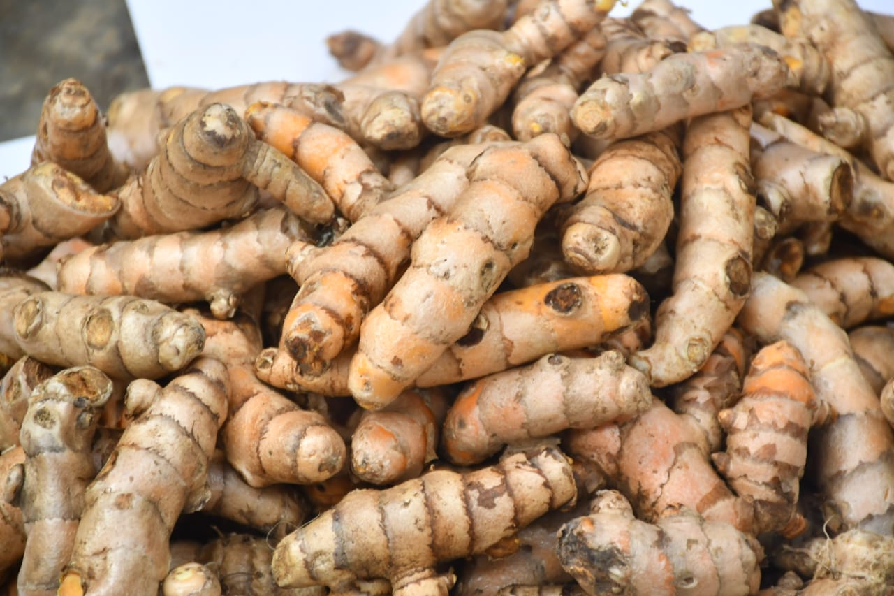 WhatsApp Image 2026-01-17 at 2.17.05 PM