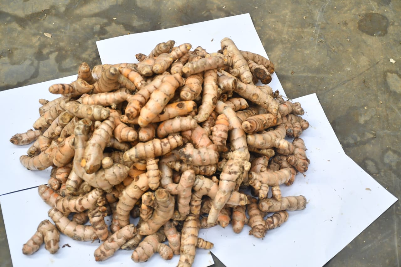 WhatsApp Image 2026-01-17 at 2.17.06 PM