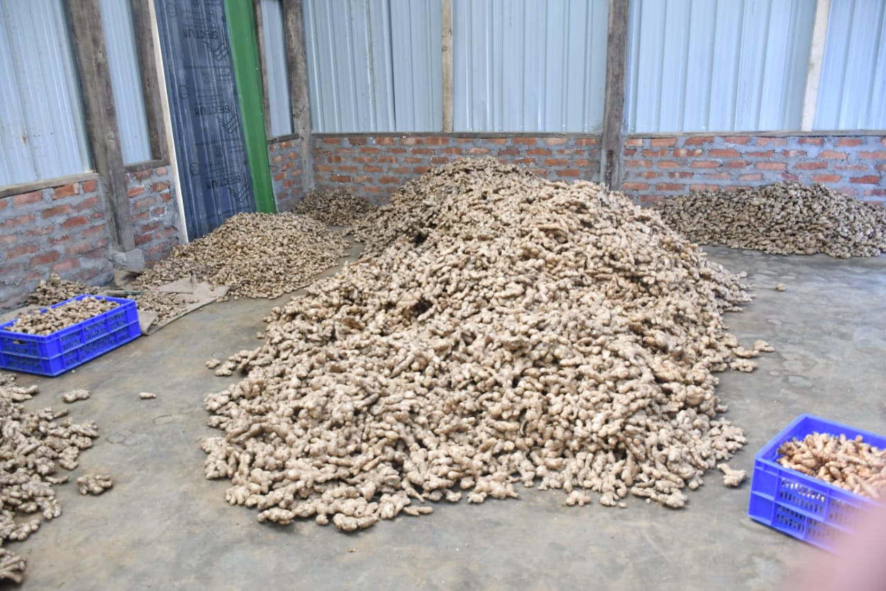 WhatsApp Image 2026-01-17 at 2.17.10 PM (1)