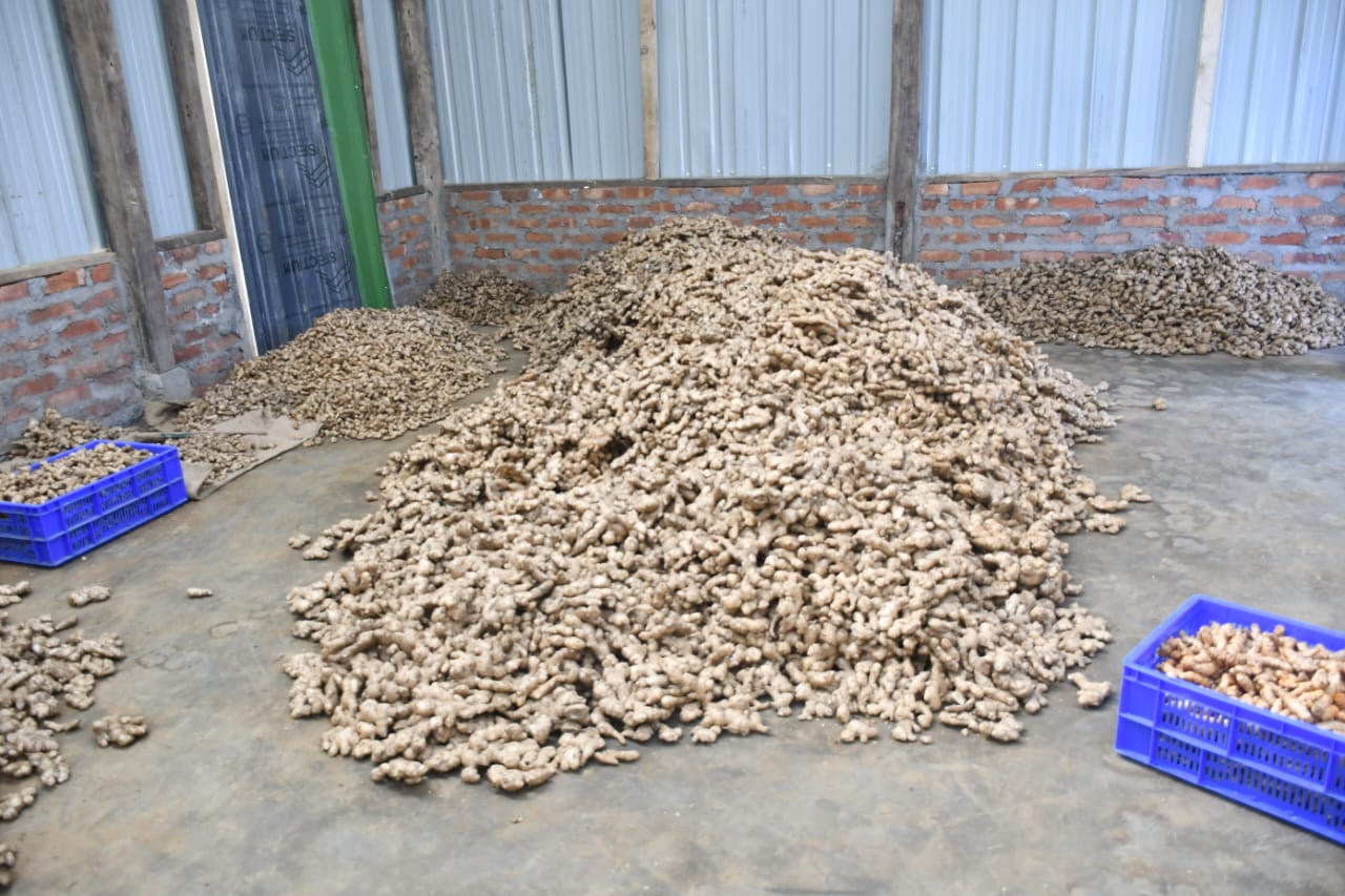 WhatsApp Image 2026-01-17 at 2.17.13 PM