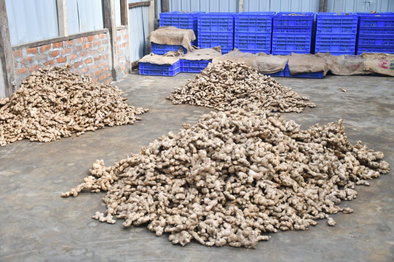 WhatsApp Image 2026-01-17 at 2.17.14 PM