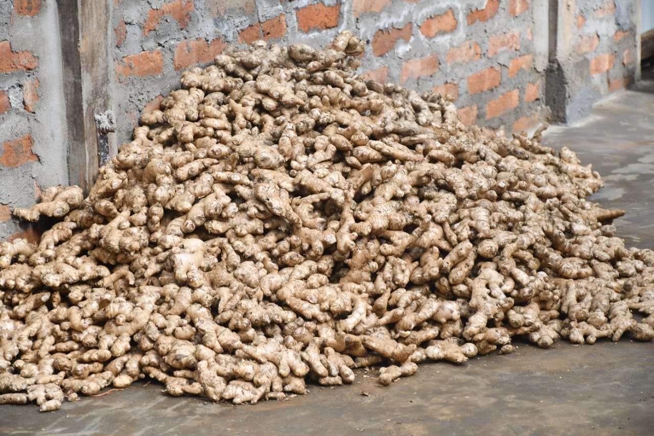 WhatsApp Image 2026-01-17 at 2.17.17 PM