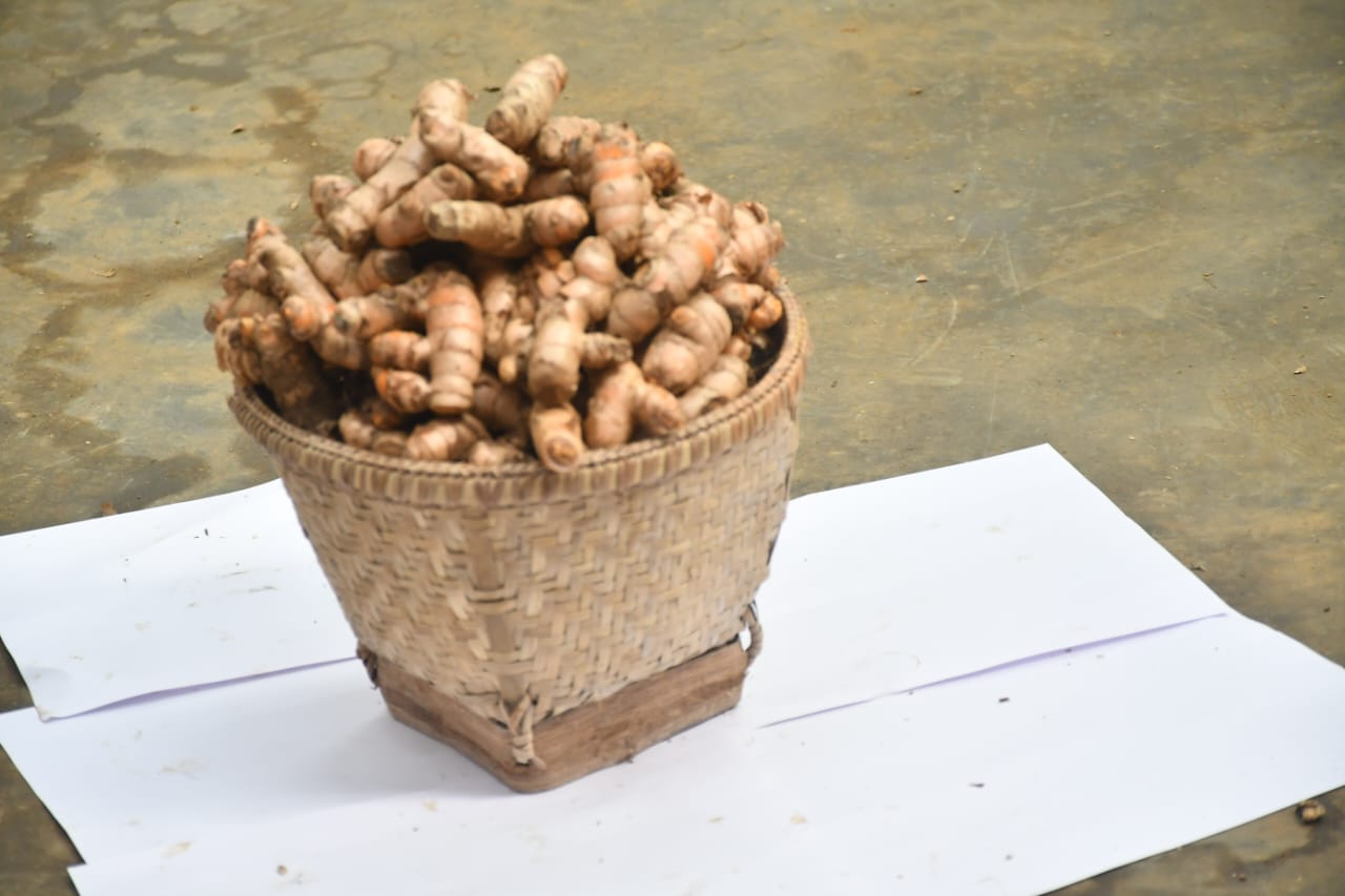 WhatsApp Image 2026-01-17 at 2.17.47 PM